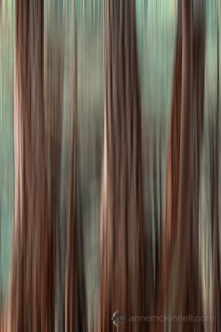Motion Blur Applied