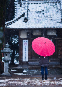 Japanese Temple in the Snow - Natural Color