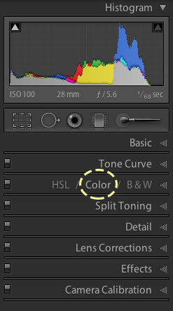 Lightroom 4 Color Controls