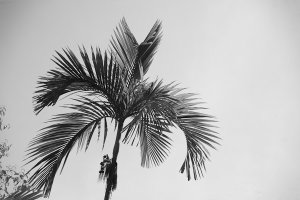 B&W conversion done using the Saturation slider at -100