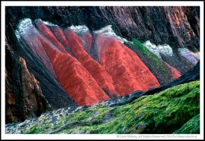 An isolated detail of a shoreline cliff allows the reds to enhance the greens, or vice versa ... depending on how you look at it.  Location: Five Islands Provincial Park, Nova Scotia, Canada