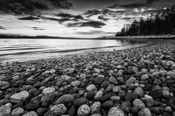 Rocks on the beach at Rebecca Spit, Quadra Island, British Columbia.