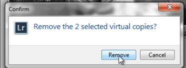 04_confirm-remove-virtual-copies