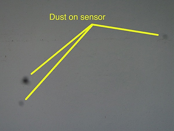 Dust on sensor.JPG