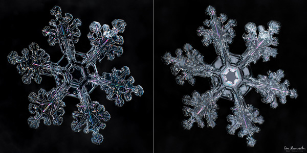 How to Photograph Snowflakes 3