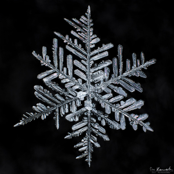 How to Photograph Snowflakes 4