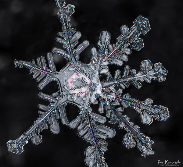 How to Photograph Snowflakes 5