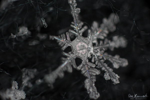 How to Photograph Snowflakes 6