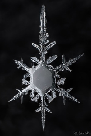How to Photograph Snowflakes
