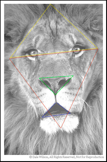 There are several more triangles that are less obvious. Can you find them? The point is that you should be looking for composition elements in your photography until it becomes an intuitive process.
