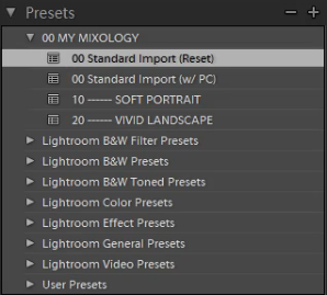02-ligthroom-4-standard-import-preset
