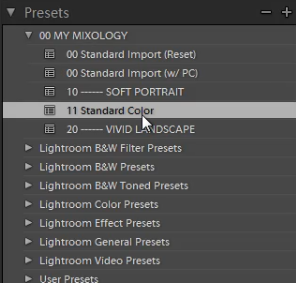 10-lightroom-4-presets-panel-standard-color-soft-portrait-preset