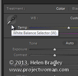 Lightroom white balance 2