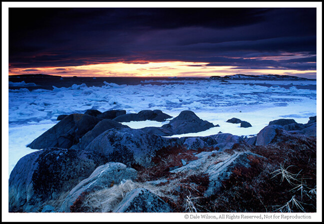 Bordered on three sides by salt water in a northern climate, ice is never far away. As the Canadian comedian Pete Soucey, aka Snook" says: We ahve nine months of winter and three to get ready for it. It's not all ice, there are also deserts and temperate rain forests. This image was made in mid-May at L'Anse aux Meadows, Newfoundland and Labrador; Canada's easternmost province.