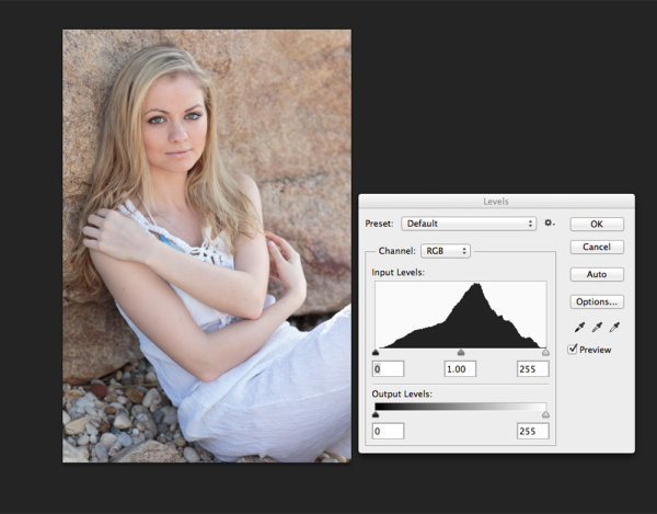 This portrait shows more midtones than anything else, so we see more of a classic peak near the center of the histogram, with the pixels falling off as they get to the edges of the histogram. You can see that neither the highlights or shadows are clipped . 