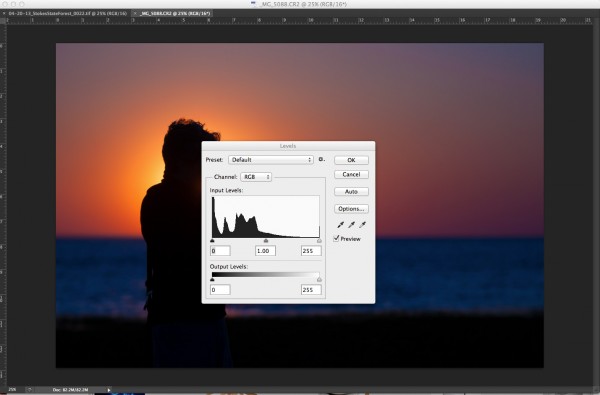 In this image, since the subject is in silhouette, and there are lots of dark tones, we expect to see most pixels on the left side of the histogram. 
