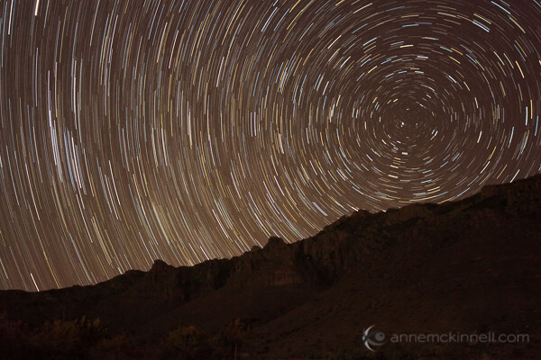 Star trails at Guadalupe National Park, Texas, by Anne McKinnell. 