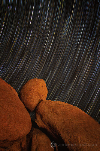 Star Trails at Joshua Tree National Park by Anne McKinnell.