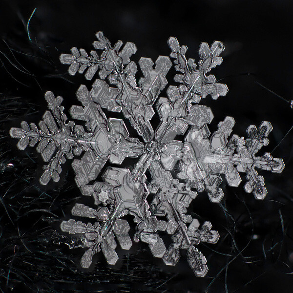 image also cropped square