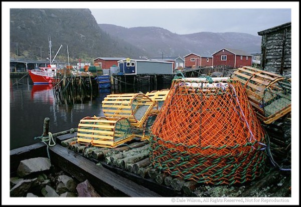 The quintessential hishing village of Petty Harbour. Just park your car and have fun walking around the small harbour.