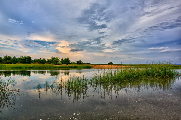 When I'm feeling like something more local, this park just a mile from my home is a great place for sunsets. EOS 5D Mark III w/ EF 17-40mm f/4L. 1/30, f/16, ISO 100.