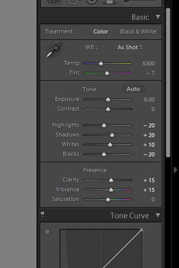 basic develop panel