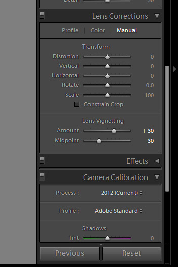 lens correction panel