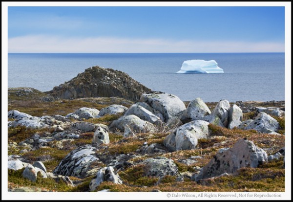 Certainly not an award winning image, but a snapshot to show what can potentially await the adventuring photographer as seen from atop the highlands of Cable John Cove. 