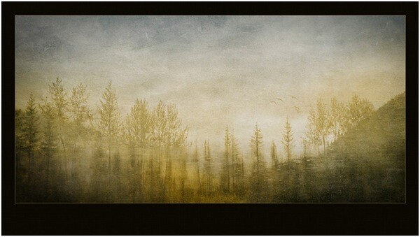 rainforesttapestry.jpg