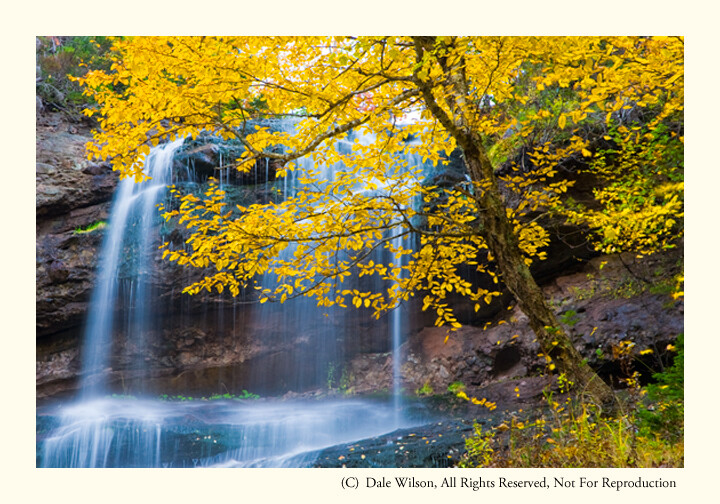 Beulach Ban Falls in the 2nd week of October.