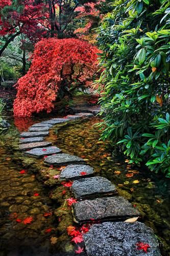 Japanese Garden by Anne McKinnell