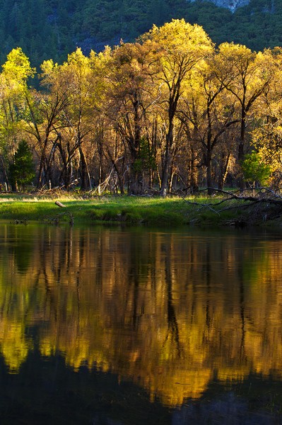 I wanted to capture this image of trees reflected in the Merced, but the water was undulating just enough to cause problems with the reflection. A slower shutter speed helped smooth the ripples and give me a better reflection. EOS 5D Mark III, EF 70-300 f/4-5.6L, ISO 100, f/16, .3".