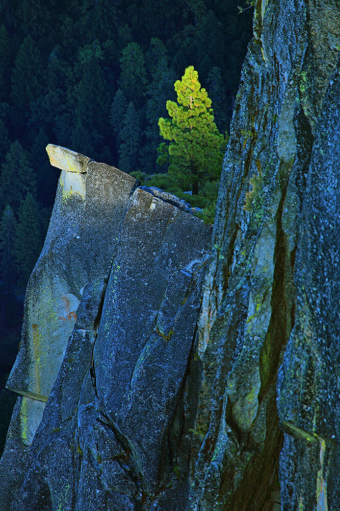 This shot of a lone pine on the side of a cliff was taken from Glacier Point at sunset. Using a 400mm lens allowed me isolate the tree being kissed by sunlight while the background behind went dark. I used an EOS 5D Mark II with EF 100-400mm L lens at 400mm. Exposure was 1/60 f/8, ISO 100.