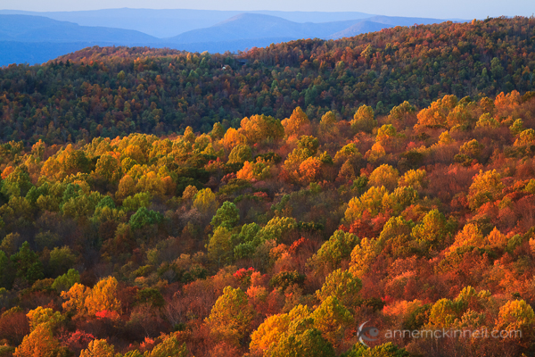 Shenandoah National Park, Virginia, by Anne McKinnell