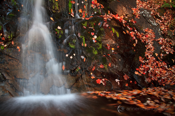 Fallingwater Cascades, Virginia, by Anne McKinnell