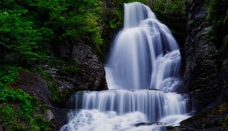 06-09-12_DingmansFalls_0089