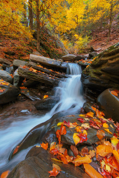 A small cascade at Kaaterskill falls in upstate New York. It's important to balance the long shutter to blur the water, with the need for keeping the foliage sharp.  While blending two exposures will accomplish this, I preferred to try and capture the scene in one exposure.  Exposure was 1/3 second, f/22, ISO 100. EF 14mm f/2.8L II with EOS 5D Mark III. 