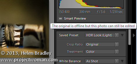 Lightroom 5 smart previews 3