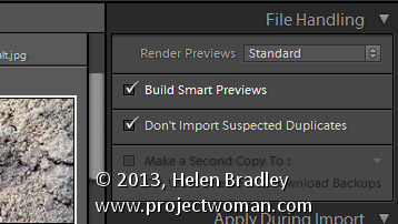 Lightroom 5 smart previews 4