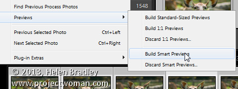 Lightroom 5 smart previews 5