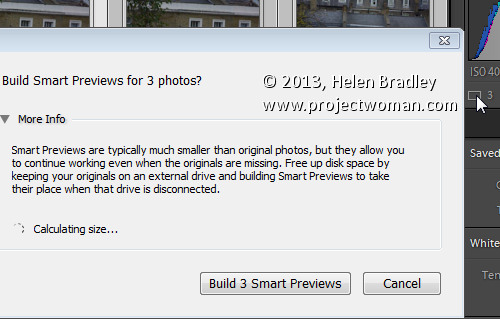 Lightroom 5 smart previews 7