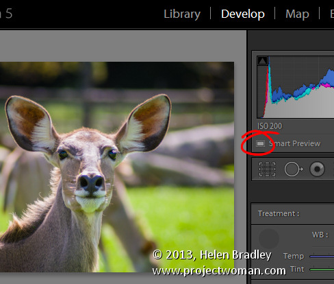 Lightroom 5 smart previews 8