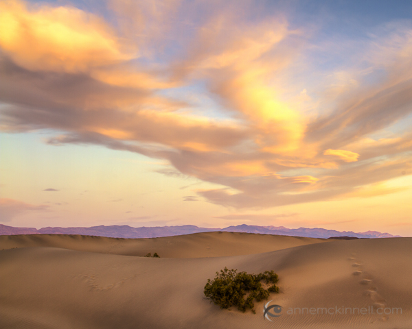 Mesquite Sand Dunes, Death Valley National Park, California, by Anne McKinnell