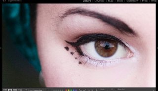 Using DNG in Lightroom