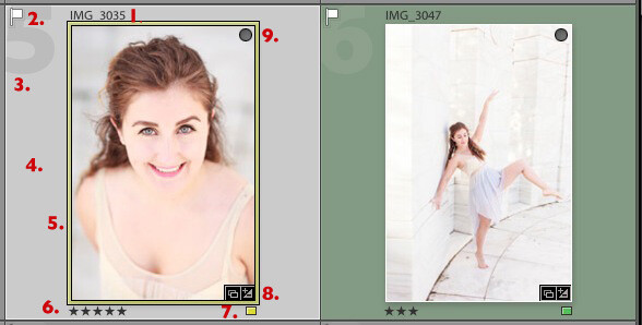 Using Lightroom's Grid View