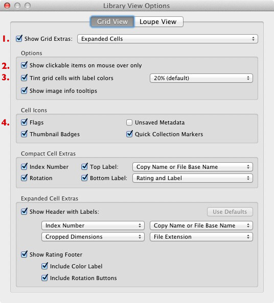 Using Lightroom's Grid View