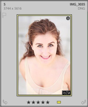 Using Lightroom's Grid View