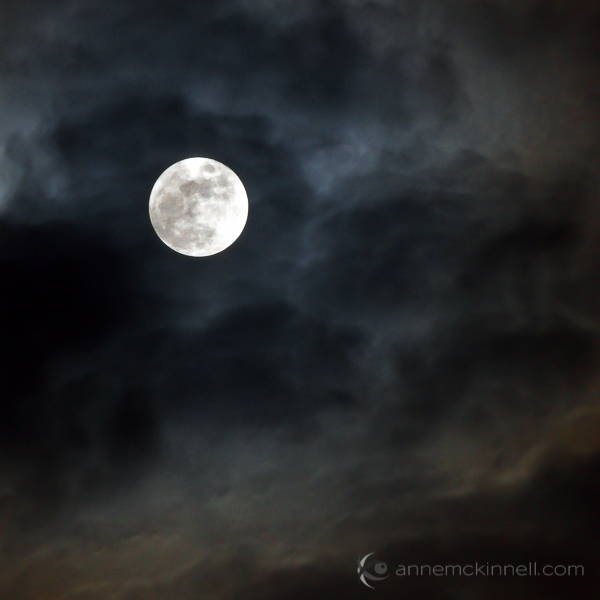 Moon Photography: Just the Moon, by Anne McKinnell