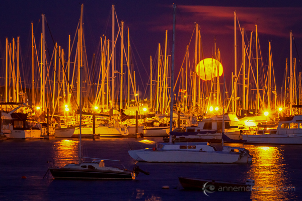 Moon Photography: Moonrise over the Oak Bay Marina, in Victoria, British Columbia, by Anne McKinnell