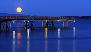Long Nights Moon by Anne McKinnell